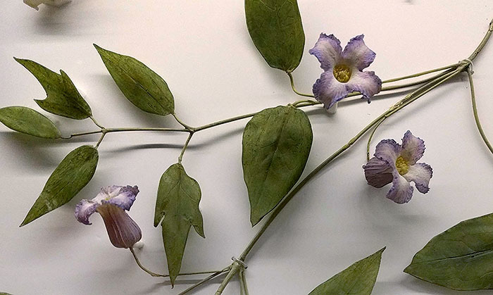 leaves, purple flowers of glass flowers in museum case